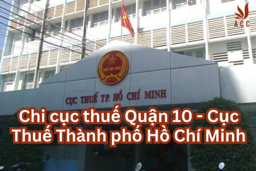 chi-cuc-thue-quan-10-cuc-thue-thanh-pho-ho-chi-minh