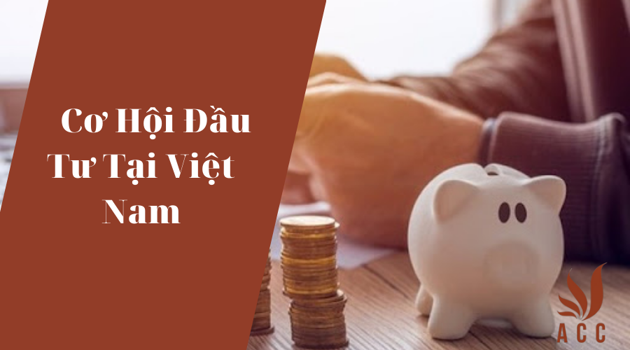 co-hoi-dau-tu-tai-viet-nam