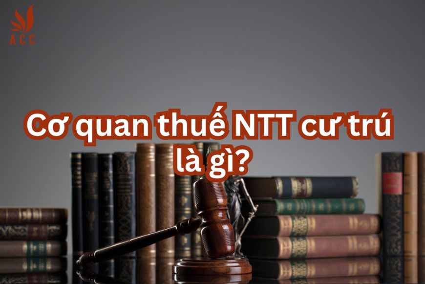 co-quan-thue-ntt-cu-tru-la-gi