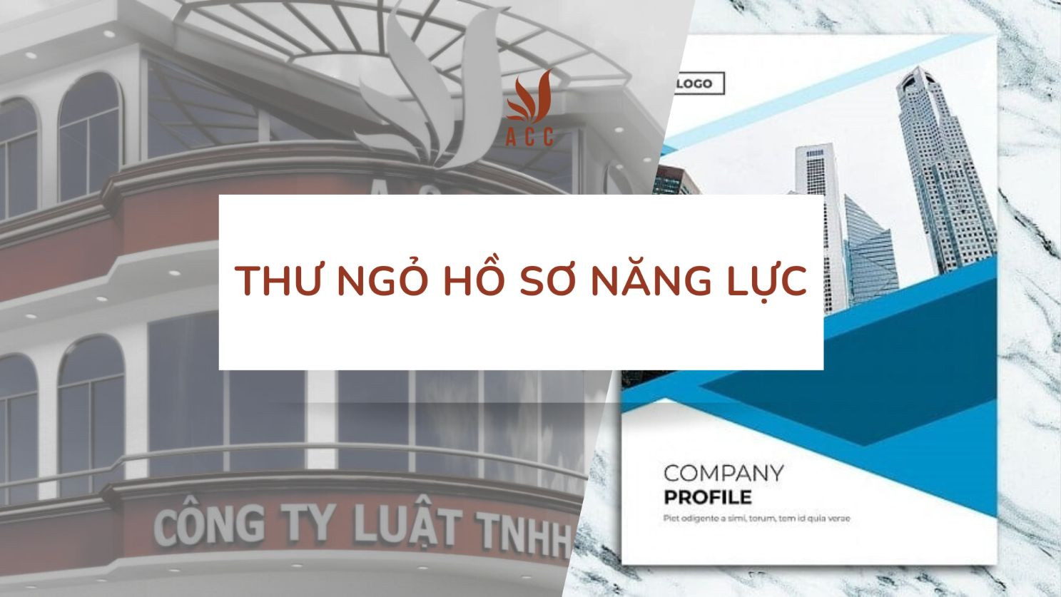 Mẫu thư ngỏ Hồ sơ năng lực