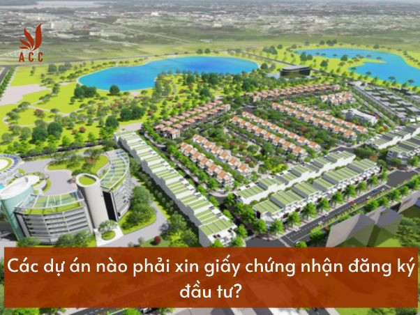 images-content-phap-ly-2023-11-01t110807666