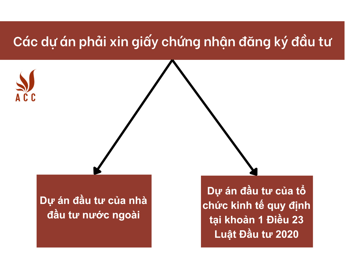 images-content-phap-ly-2023-11-01t111002745