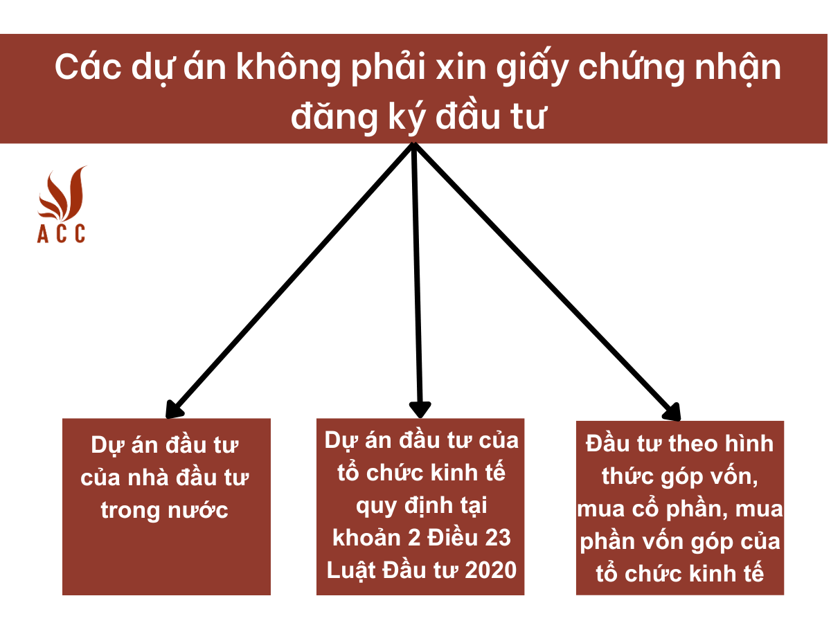 images-content-phap-ly-2023-11-01t111315375