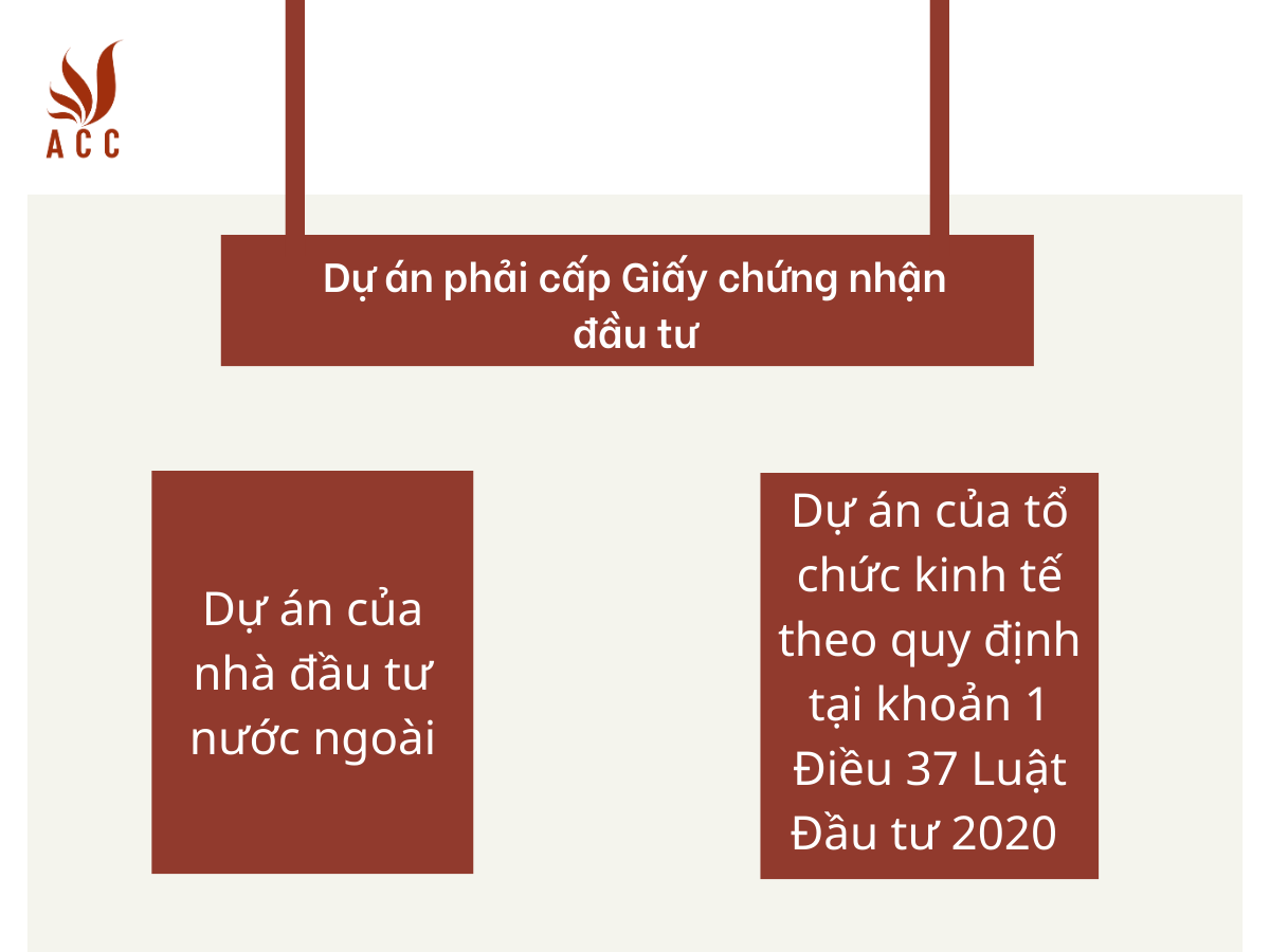 images-content-phap-ly-2023-11-02t090741934