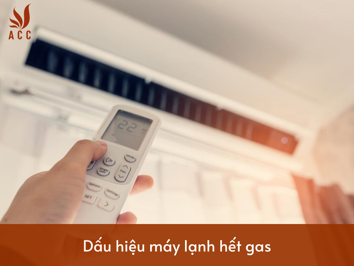 images-content-phap-ly-2023-11-24t155351987