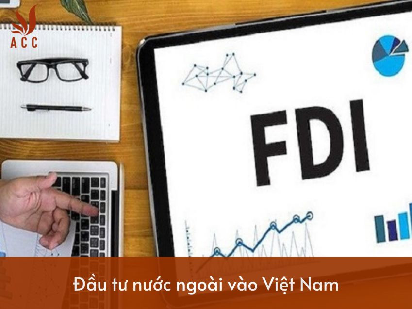 images-content-phap-ly-2023-11-29t120033562