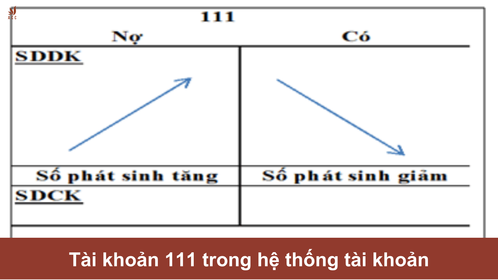 Tài khoản 111 trong hệ thống tài khoản