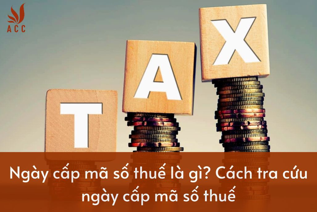 vi-du-ve-nha-dau-tu-nuoc-ngoai-la-gi-19-1