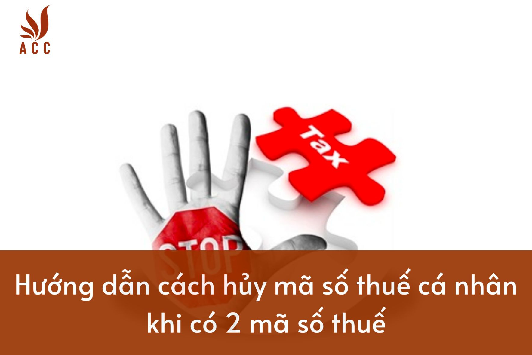vi-du-ve-nha-dau-tu-nuoc-ngoai-la-gi-19