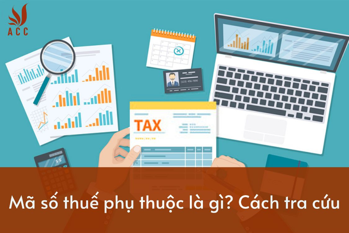 vi-du-ve-nha-dau-tu-nuoc-ngoai-la-gi-24-1