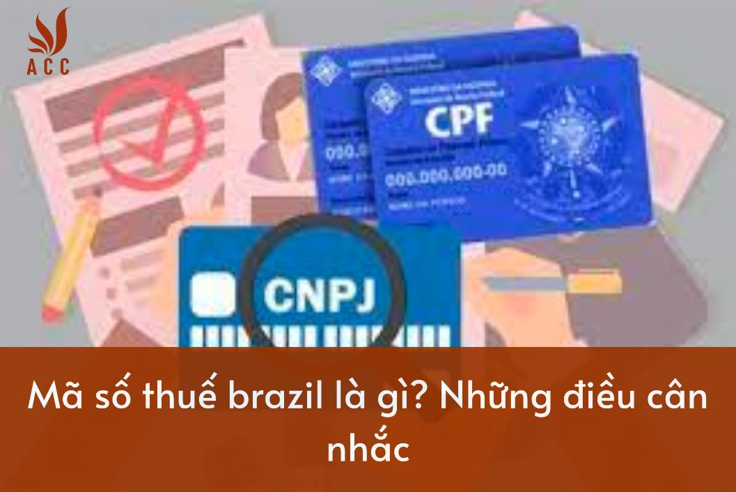 vi-du-ve-nha-dau-tu-nuoc-ngoai-la-gi-25