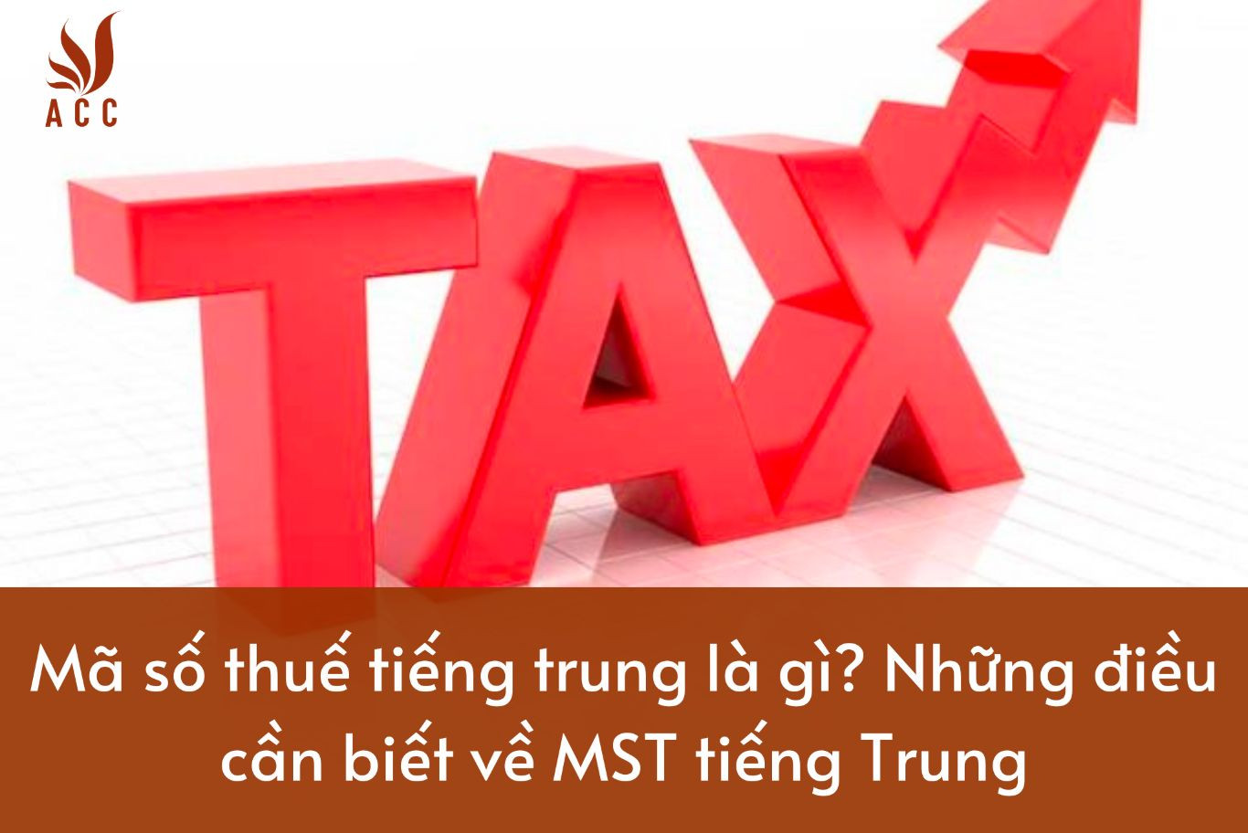 vi-du-ve-nha-dau-tu-nuoc-ngoai-la-gi-44