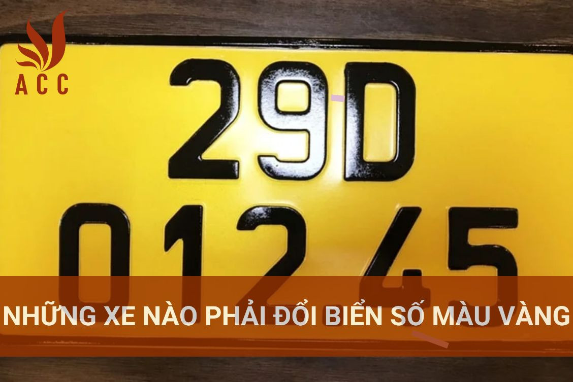 Những xe nào phải đổi biển số màu vàng