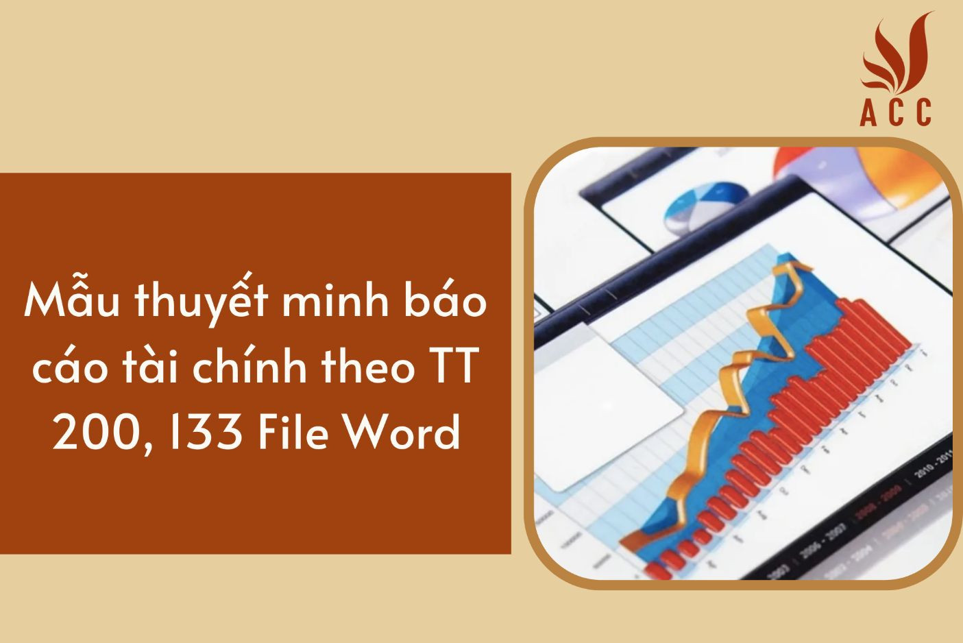 Mẫu thuyết minh báo cáo tài chính theo TT 200, 133 File Word