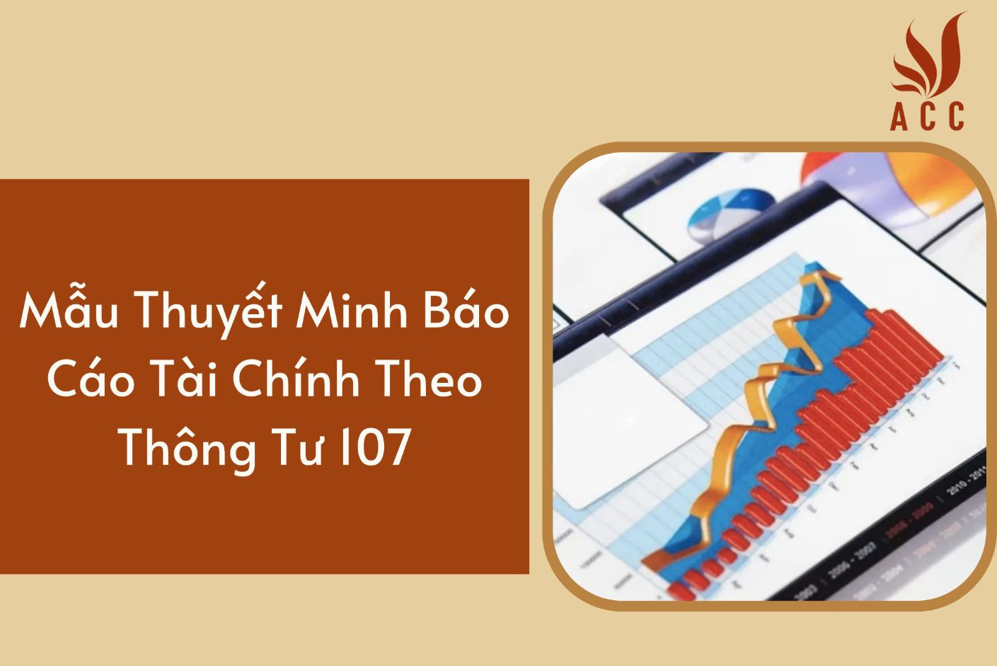 Mẫu Thuyết Minh Báo Cáo Tài Chính Theo Thông Tư 107