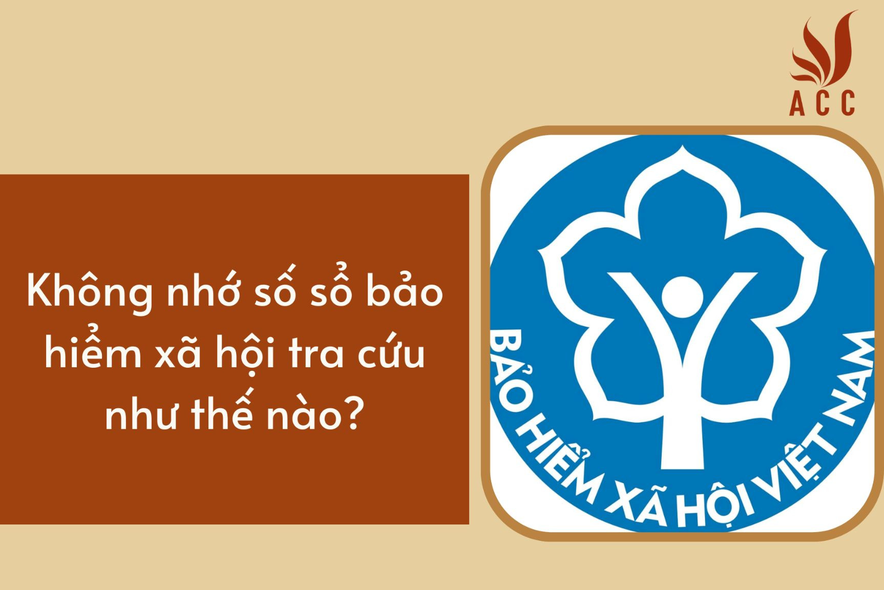 Không nhớ số điện thoại đăng ký BHXH tra cứu thế nào?