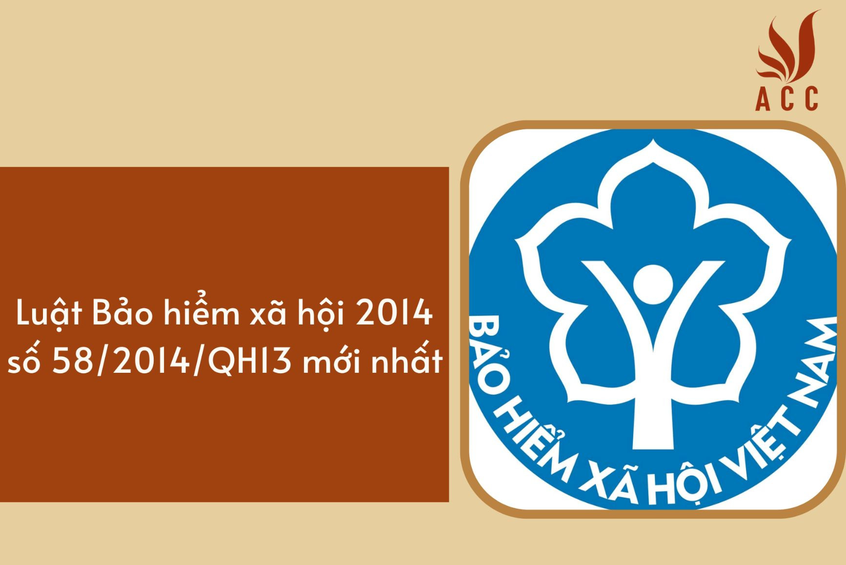 Luật Bảo hiểm xã hội 2014 số 58/2014/QH13 mới nhất