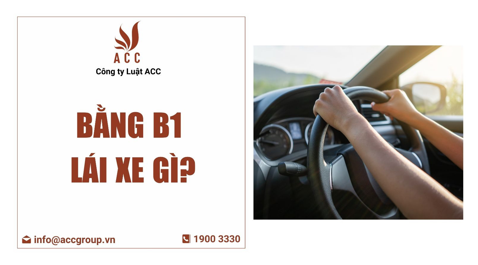 Bằng B1 lái xe gì?