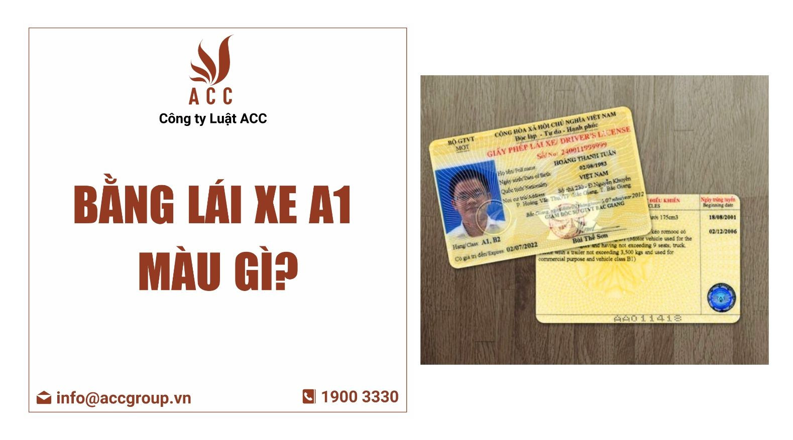 Bằng lái xe A1 màu gì?