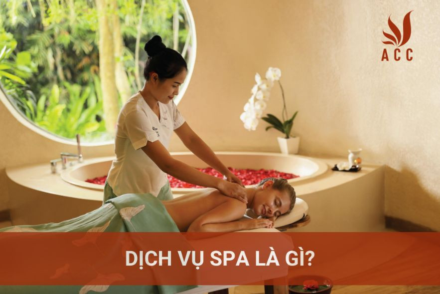 Dịch vụ spa là gì?