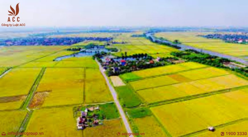Diện tích tối thiểu để được tách thửa đối với đất nông nghiệp, đất phi nông nghiệp tỉnh Quảng Nam là bao nhiêu?