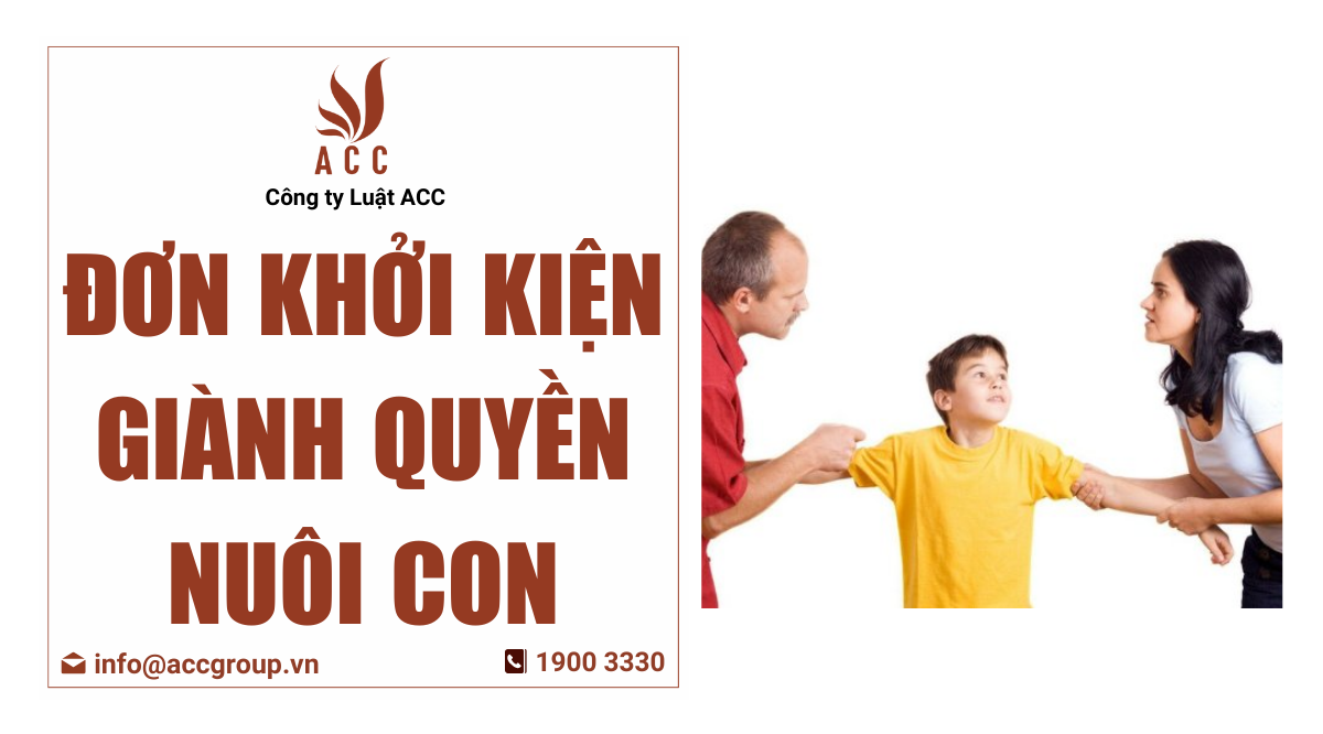 Đơn khởi kiện giành quyền nuôi con