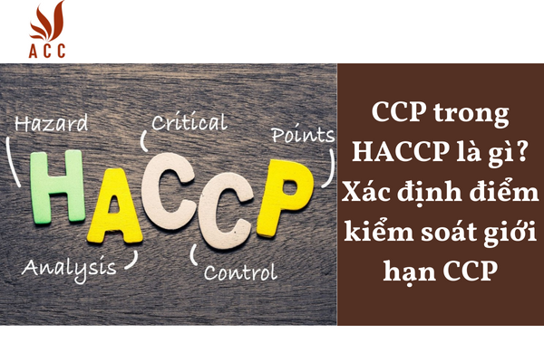 CCP trong HACCP là gì? Xác định điểm kiểm soát giới hạn CCP
