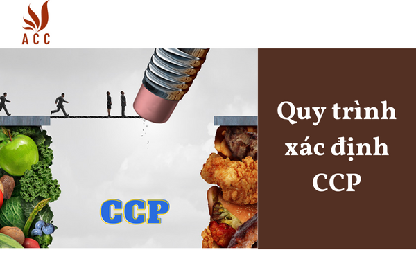 Quy trình xác định CCP