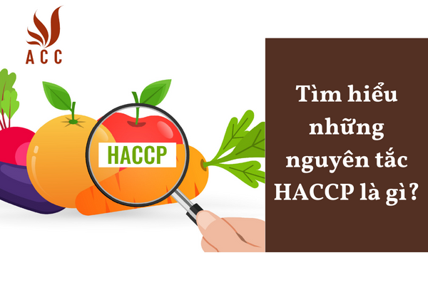 Tìm hiểu những nguyên tắc HACCP là gì?