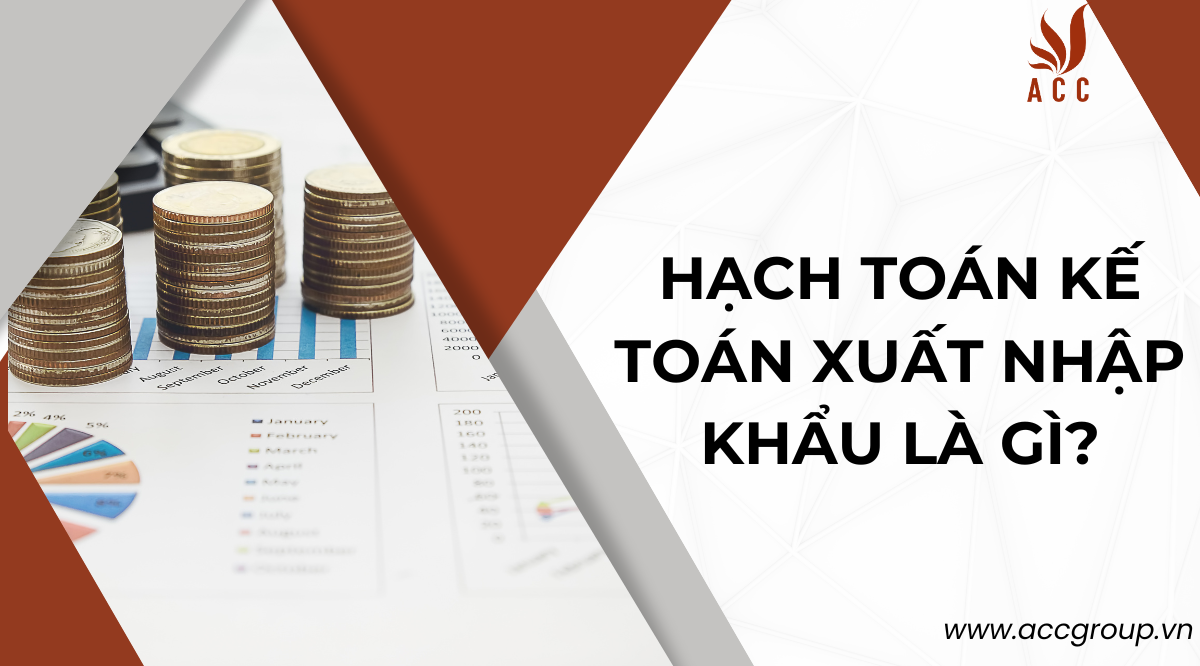 Hạch toán kế toán xuất nhập khẩu là gì?