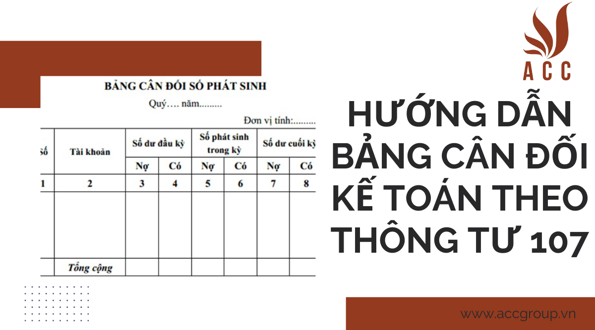 huong-dan-bang-can-doi-ke-toan-theo-thong-tu-107