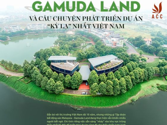 images-content-phap-ly-2023-12-04t151645151