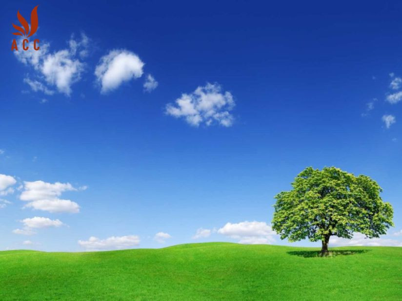 images-content-phap-ly-2023-12-09t103421558