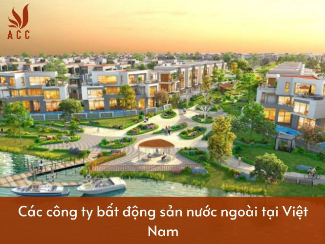 images-content-phap-ly-2023-12-13t191332218