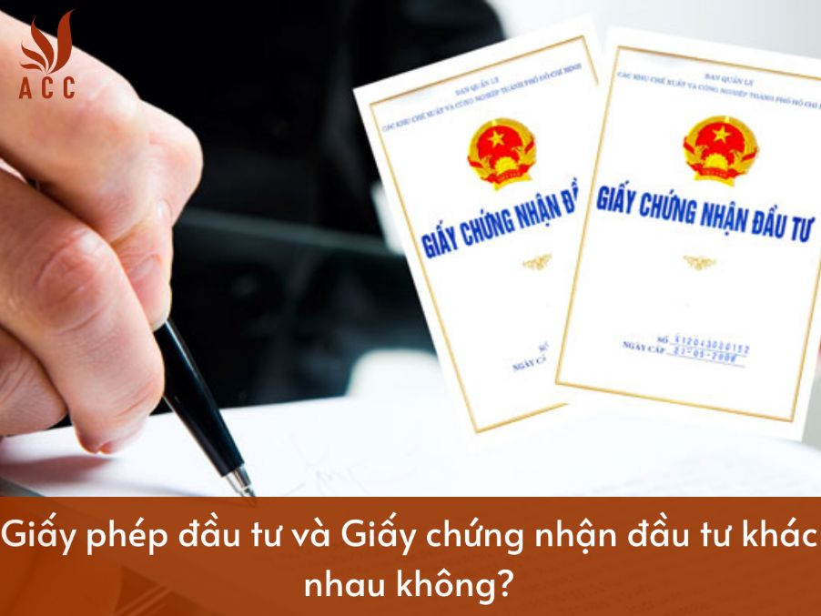 images-content-phap-ly-2023-12-19t130210997