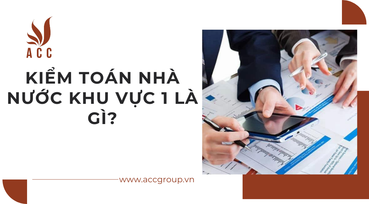 Kiểm toán nhà nước khu vực 1 là gì?