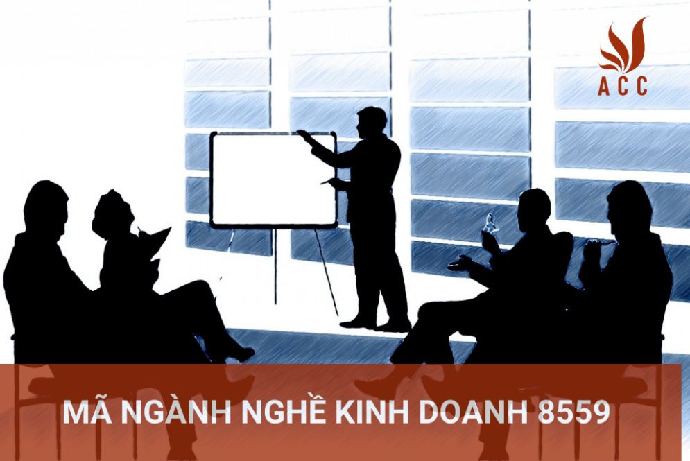 Mã ngành nghề kinh doanh 8559
