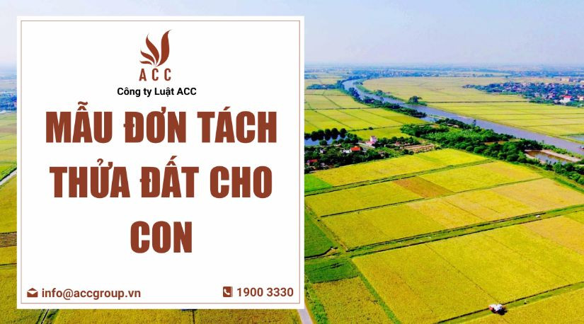 Mẫu đơn tách thửa đất cho con
