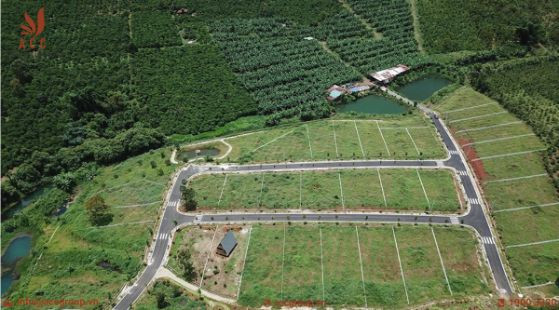 Mẫu đơn tách thửa đất cho con
