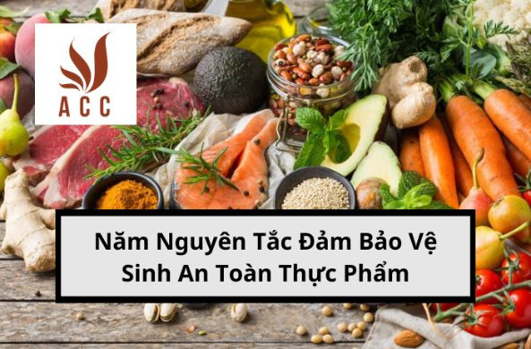 Năm Nguyên Tắc Đảm Bảo Vệ Sinh An Toàn Thực Phẩm