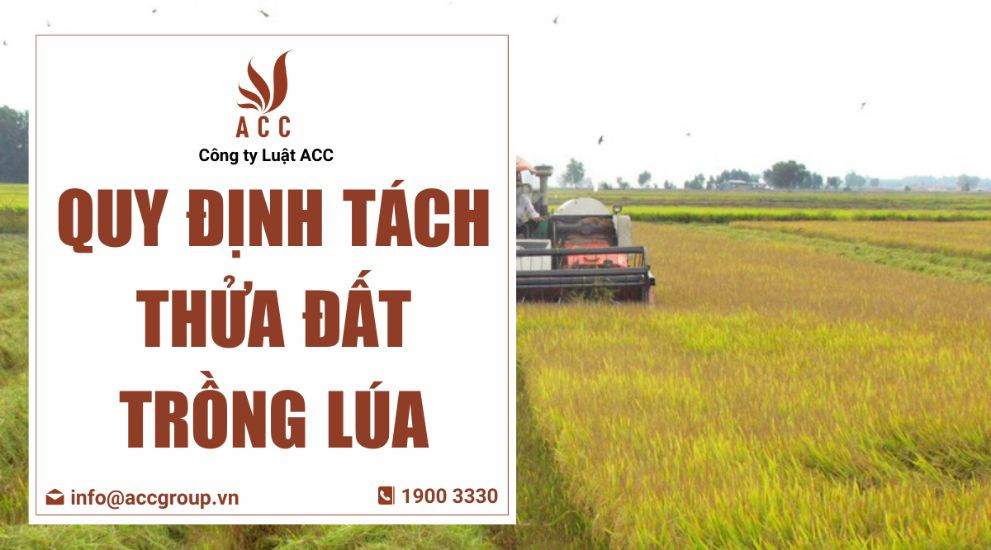 Quy định tách thửa đất trồng lúa