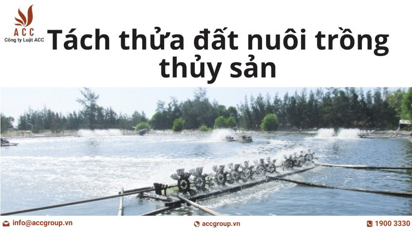 Tách thửa đất nuôi trồng thủy sản