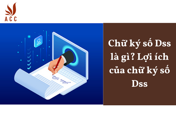 Chữ ký số Dss là gì? Lợi ích của chữ ký số Dss
