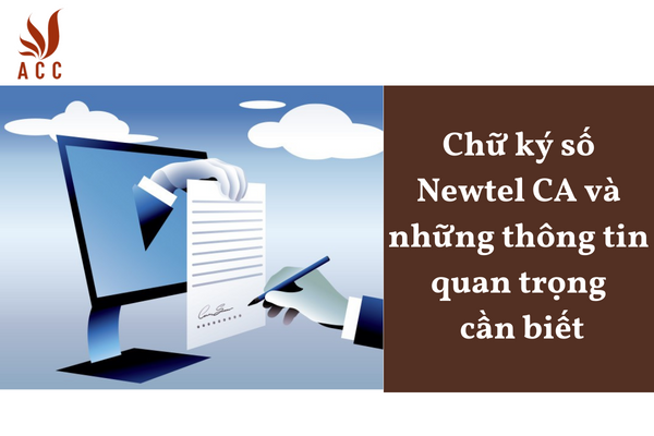 Chữ ký số Newtel CA và những thông tin quan trọng cần biết