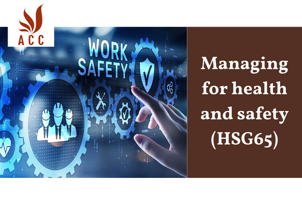 Managing for health and safety (HSG65)