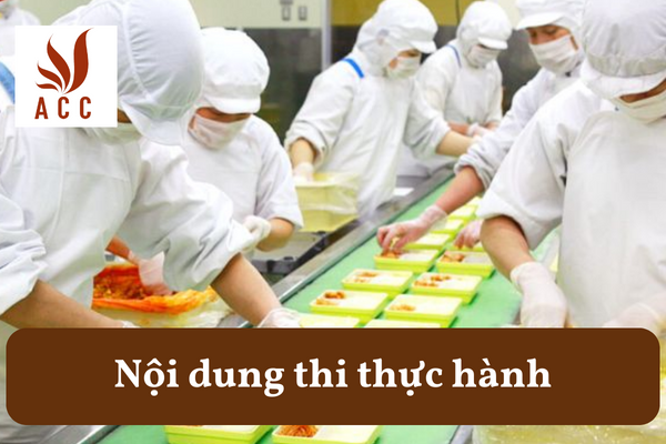 Nội dung thi thực hành