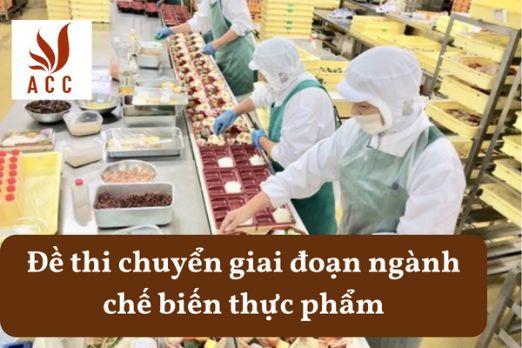 Đề thi chuyển giai đoạn ngành chế biến thực phẩm