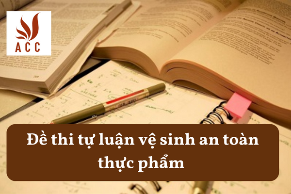 Đề thi tự luận vệ sinh an toàn thực phẩm