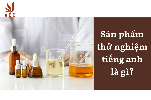 Sản phẩm thử nghiệm tiếng anh là gì?
