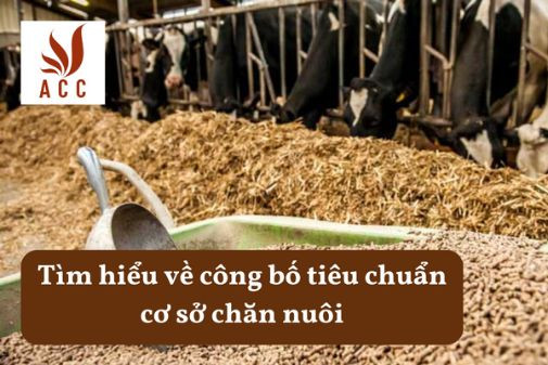 Tìm hiểu về công bố tiêu chuẩn cơ sở chăn nuôi
